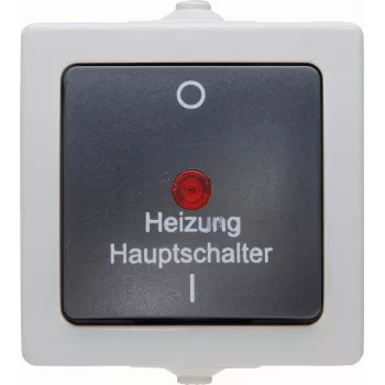 Kopp 565356002 Thermoplast Schwarz-Grau Wechselschalter, Unterputz, 10 A, 250 V AC
