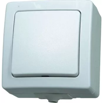 HEINRICH KOPP Paris Polarweiß Unterputz-Lichtschalter 10A 250V AC Wechsel-/Ausschalter mit Beleuchtungsoption 565702005