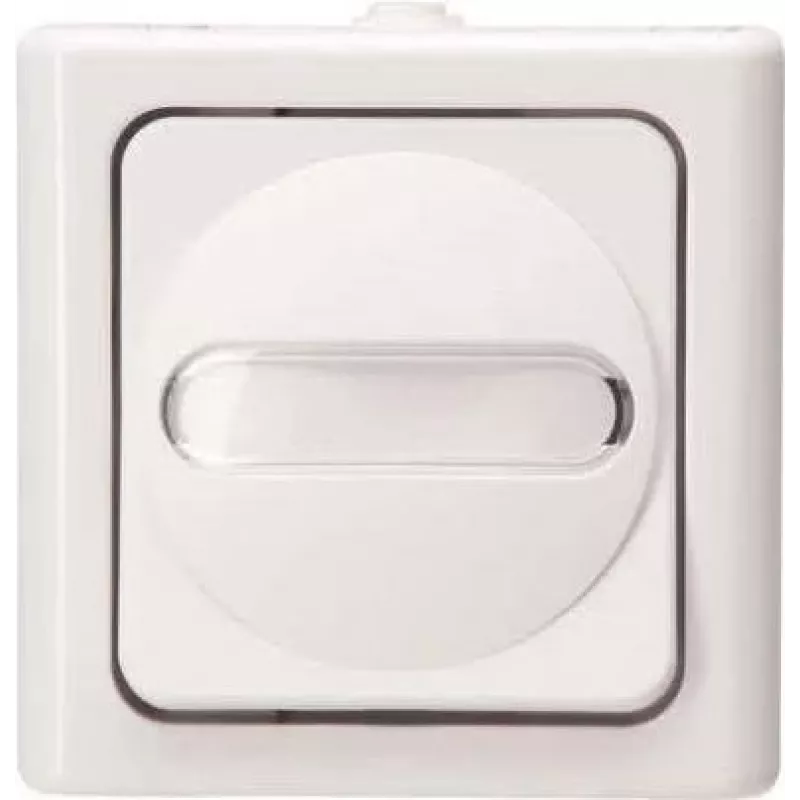 HEINRICH KOPP Universalschalter BLUE ELECTRIC arktis Aufputz Feuchtraum 10A, 250V (560602007)