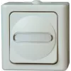 HEINRICH KOPP Universalschalter BLUE ELECTRIC arktis Aufputz Feuchtraum 10A, 250V (560602007)