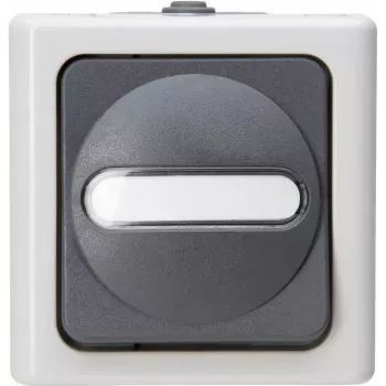 HEINRICH KOPP Universalschalter BLUE ELECTRIC Grau Aufputz Feuchtraum 10A, 250V (560656006)