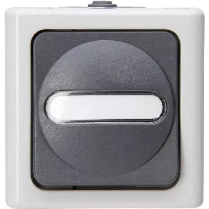 HEINRICH KOPP Universalschalter BLUE ELECTRIC Grau Aufputz Feuchtraum 10A, 250V (560656006)