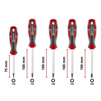 Einhell Universal Torx Schraubendreher-Set T10-T30, 5-teilig, magnetische Spitzen, Chrom-Vanadium-Stahl, ergonomische Bi-Material-Griffe, Werkstatt & Heimwerken 370537