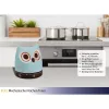 TFA Dostmann Eule Mechanischer Küchentimer, Türkis, 60 Minuten, Analog, Ohne Batterien 38.1039