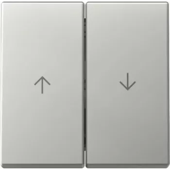 Gira System 55 Wippe 2-fach mit Pfeilsymbolen, Edelstahl-Optik 3294600