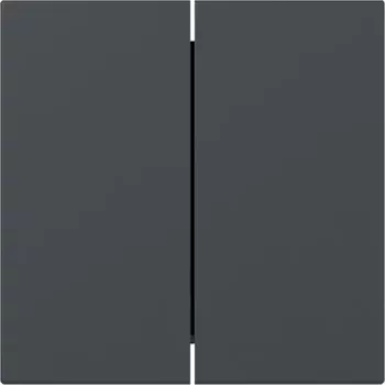 Gira Wippschalterabdeckung 349528, 2-fach, gerade, Anthrazit, System 55