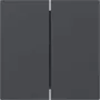 Gira Wippschalterabdeckung 349528, 2-fach, gerade, Anthrazit, System 55