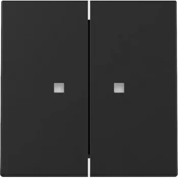Gira System 55 Wippabdeckung, 2-fach, für Steuerfunktion, Schwarz Matt 3631005