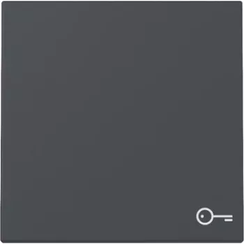 Gira System 55 Wippabdeckung mit Tursymbol, Anthrazit 328728