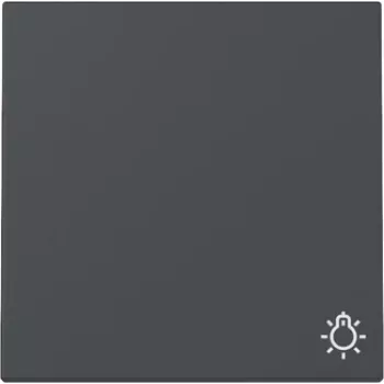 Gira System 55 Wippabdeckung mit Lichtsymbol, Anthrazit Matt 328528