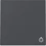 Gira System 55 Wippabdeckung mit Lichtsymbol, Anthrazit Matt 328528