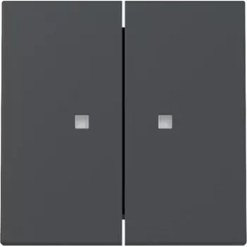 Gira System 55 Doppelwippen-Schalterabdeckung mit Kontrollfenster, Anthrazit Matt 363128