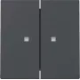 Gira System 55 Doppelwippen-Schalterabdeckung mit Kontrollfenster, Anthrazit Matt 363128