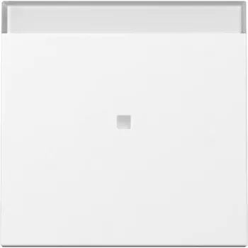 GIRA System 55 Wippe mit Kontrollfenster und BSF-Symbol, Reinweiß Seidenmatt 367003