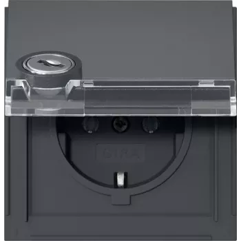 GIRA 456967 SCHUKO-Steckdose mit gleichschließendem Zylinderschloss, Reinweiß Glänzend