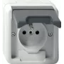 GIRA 448530 Schuko-Steckdose mit Klappdeckel, Reinweiß Glänzend