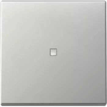 Gira System 55 Wippe mit Kontrollfenster, Reinweiß Glänzend 3290600