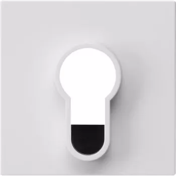 Gira Abdeckung für Schlüsselschalter, System 55, Reinweiß glänzend, 55 x 55 mm 866403