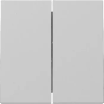 Gira System 55 Wippe 2-fach Grau Matt 3295015