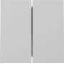 Gira System 55 Wippe 2-fach Grau Matt 3295015