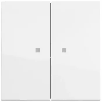 Gira System 55 Wippschalterabdeckung, 2-fach, Reinweiß Glänzend (RAL 9010) 363170