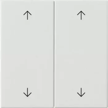 Gira Wippe 2-fach Reinweiß 538703