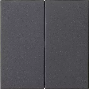 Gira System 55 2-fach Wippschalterabdeckung, Anthrazit Matt 536228