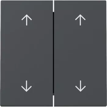 GIRA Wippe 329728 2-Wege Pfeile System 55 Anthrazit