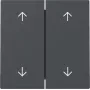 GIRA Wippe 329728 2-Wege Pfeile System 55 Anthrazit