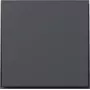 Gira TX44 Wippabdeckung gerade Anthrazit 349667