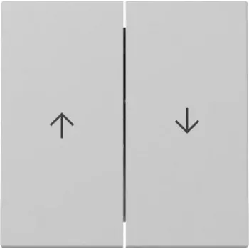 GIRA Wippe 3294015 2-fach Pfeil System 55 Grau Matt