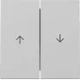 GIRA Wippe 3294015 2-fach Pfeil System 55 Grau Matt