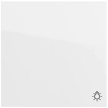 GIRA Wippe mit Lichtsymbol und Kontrollfenster, Reinweiß Glänzend, System 55 328570