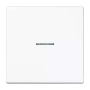 Jung KNX RF Taster 1-fach Duroplast LS-Serie Alpinweiß LS10911STRFWW