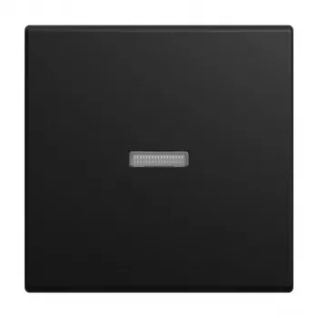 Busch-Jaeger Busch-balance Wippe mit kleiner transparenter Kappe, Schwarz matt 2CKA001731A4035