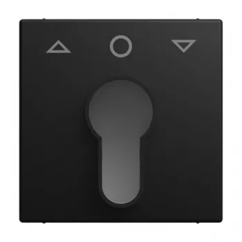 Busch-Jaeger Busch-balance SI Zentralplatte mit Pfeil-Auf/Ab-Symbol, Schwarz matt 2CKA001710A4259