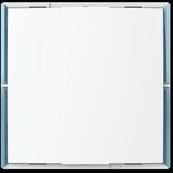 BUSCH-JAEGER Keypad Bedienelement 1..4 Steuerfunktionen KK/U4.55.11 (2CKA006115A0505)
