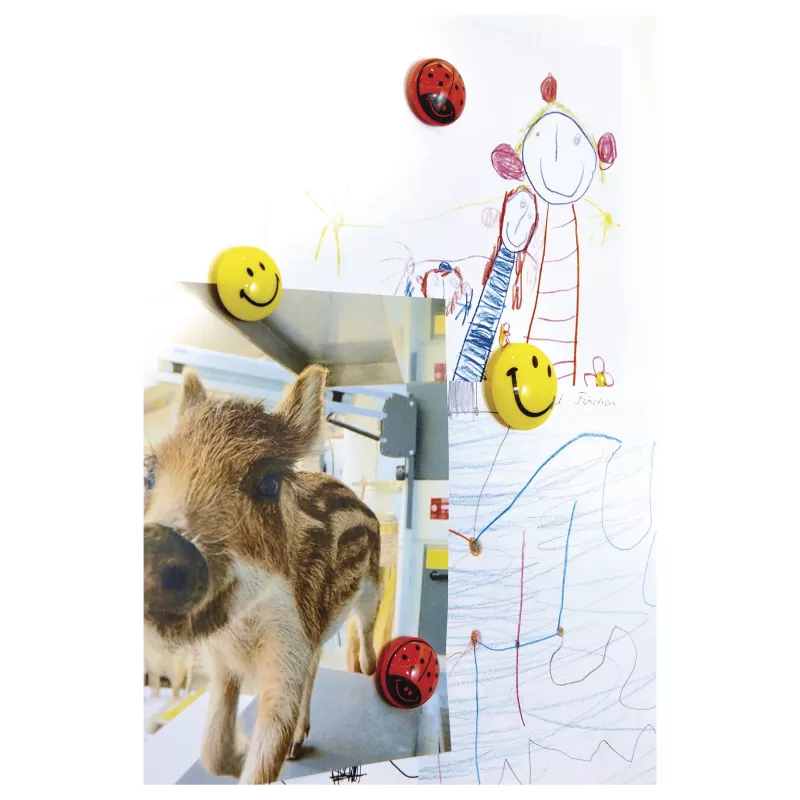 Magnetoplan 16672 Smiley Board Magnets Ø 30 mm, 6 Stück