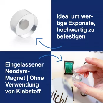 MAGNETOPLAN HOLTZ magnetoplan Design Magnete, 25 mm, 6er-Pack Neodym-Magnete mit transparentem Acrylgriff, poliert (1680025)