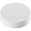 Magnetoplan Ergo-Magnete Medium Weißer Ferritmagnet, 30 mm, 1 Stück 1664000