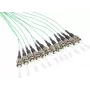 GoodConnections Alcasa LW-802PT 2m 12x ST Türkis LWL Patchkabel (LW-802PT)