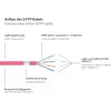 GoodConnections RNS® Cat. 6A S/FTP Patchkabel mit Rastnasenschutz, halogenfrei, Magenta, 20m (8060-H200M)