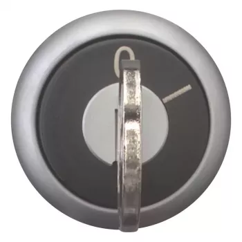 Eaton M22-WRS-MS10-A1 Schlüsselschalter, 2 Stellungen, Rastend, MS10 Schlüssel, 22,5mm Montage, Schwarz/Silber, IP66/IP67/IP69K 111776