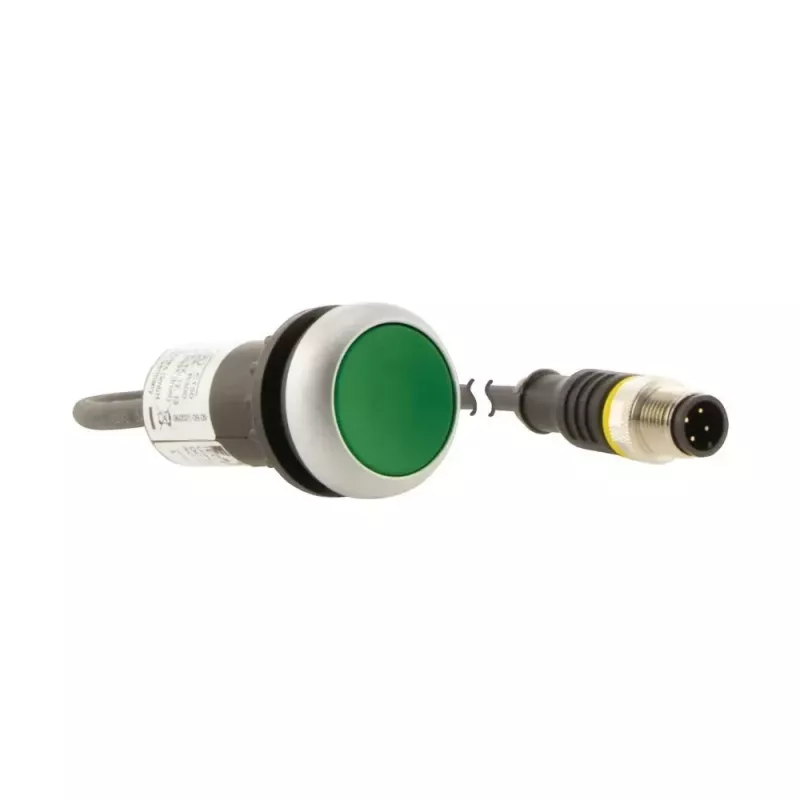 Eaton C22-D-G-K10-P3 Drucktaste, flach, tastend, Grün, 1S 181632