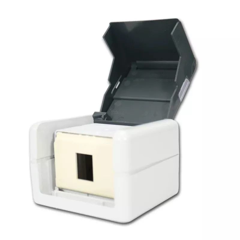 TELEGÄRTNER H02000A0069 AMJ-S K Cat.6A geschirmte 2-Port RJ45 Datendose, Lichtgrau/Weiß