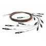 Telegärtner L00889A0035 SC-Singlemode-Verbindungskabel mit Lötfahne
