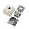 Telegärtner Cat.6 geschirmte RJ-45 Netzwerk-Anschlussdose, Perlweiß