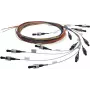 Telegärtner L00819A0067 ST Multimode LWL-Verbindungskabel