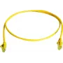 Telegärtner Cat6 U/UTP RJ45 Patchkabel, 2 m, Grau L00001A0236