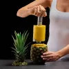Lurch Ananas-Schneider & -Entkerner Grau 10246